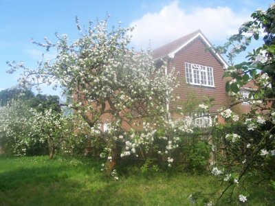 Orchard bed and breakfast, Rochester, Kent UK